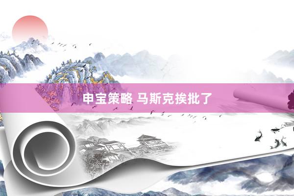 申宝策略 马斯克挨批了